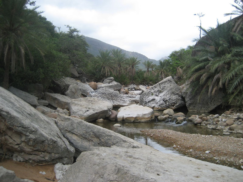 Socotra.......Oman